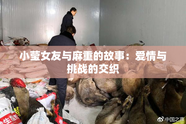 小莹女友与麻重的故事：爱情与挑战的交织