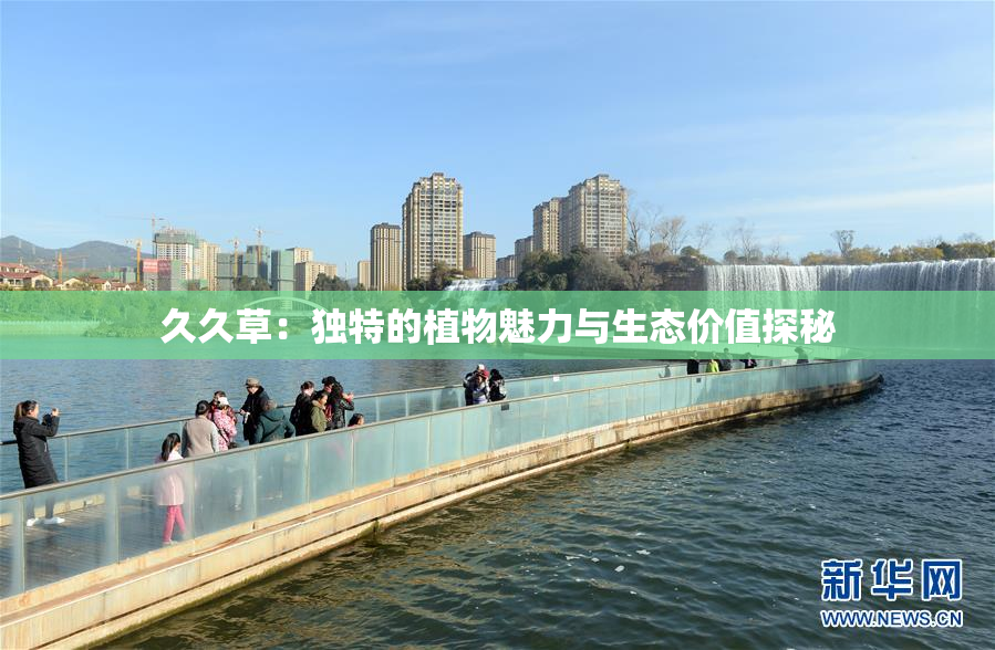 久久草：独特的植物魅力与生态价值探秘