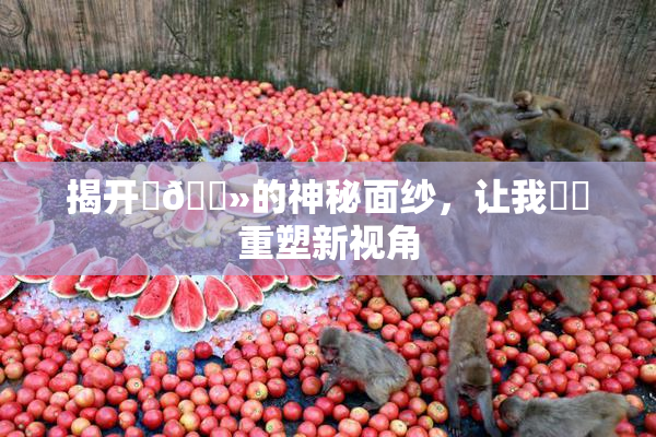 揭开‌🐻的神秘面纱，让我❌‌重塑新视角