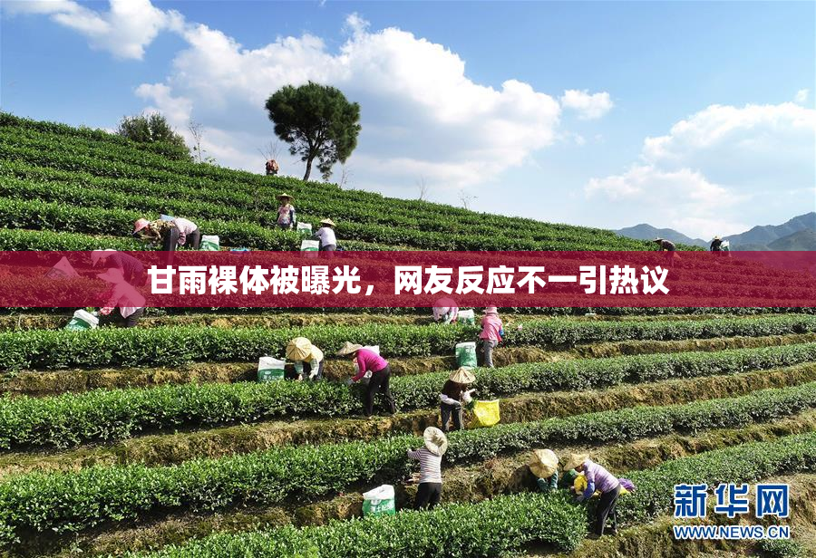甘雨裸体被曝光，网友反应不一引热议