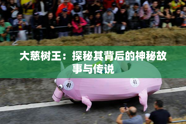 大慈树王：探秘其背后的神秘故事与传说