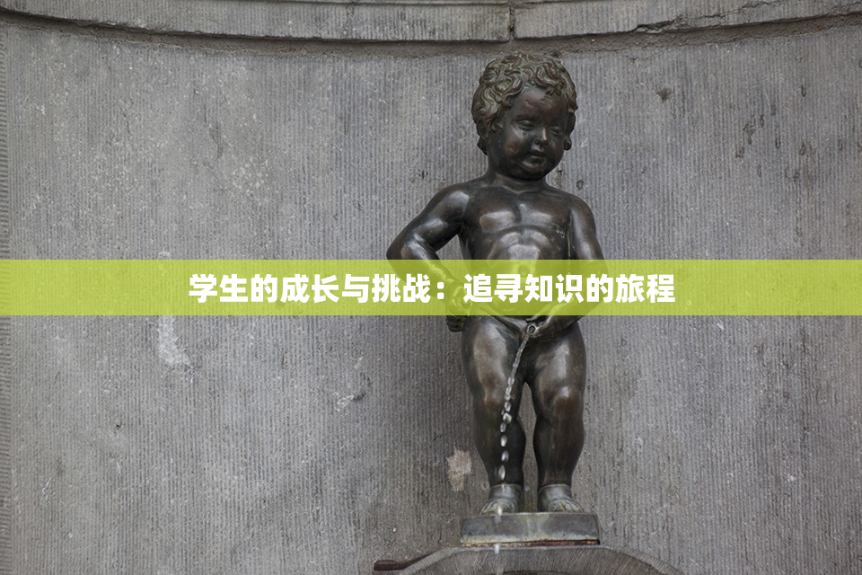 学生的成长与挑战：追寻知识的旅程