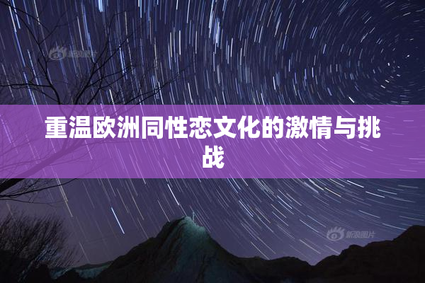 重温欧洲同性恋文化的激情与挑战