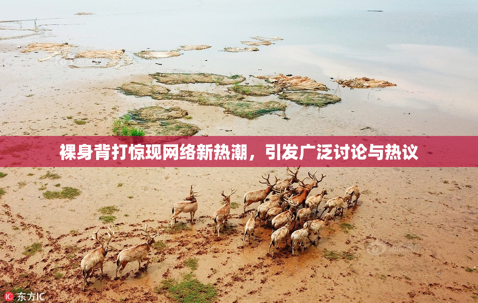 裸身背打惊现网络新热潮，引发广泛讨论与热议