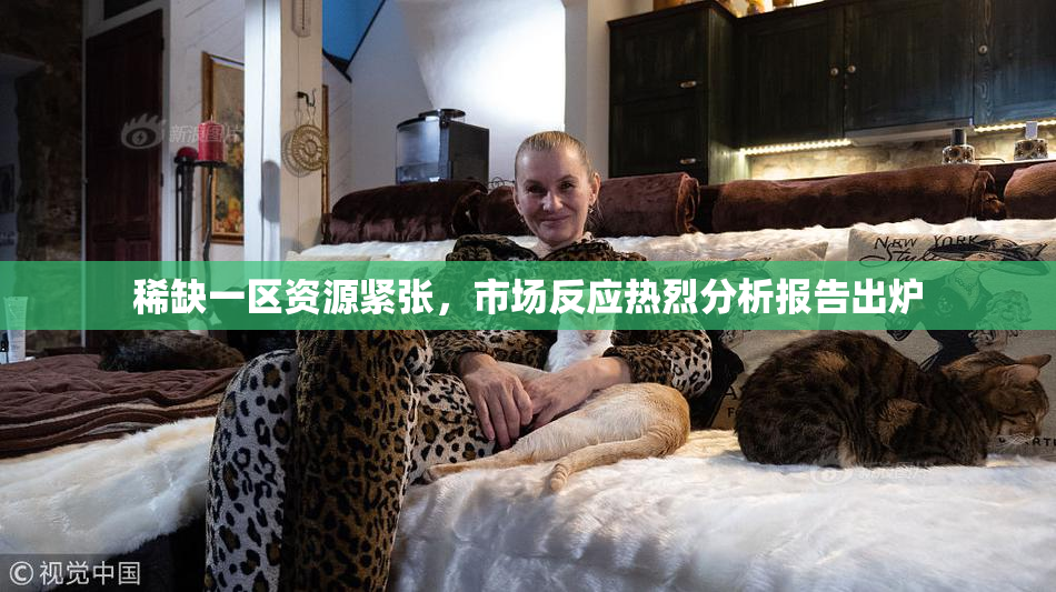 稀缺一区资源紧张，市场反应热烈分析报告出炉