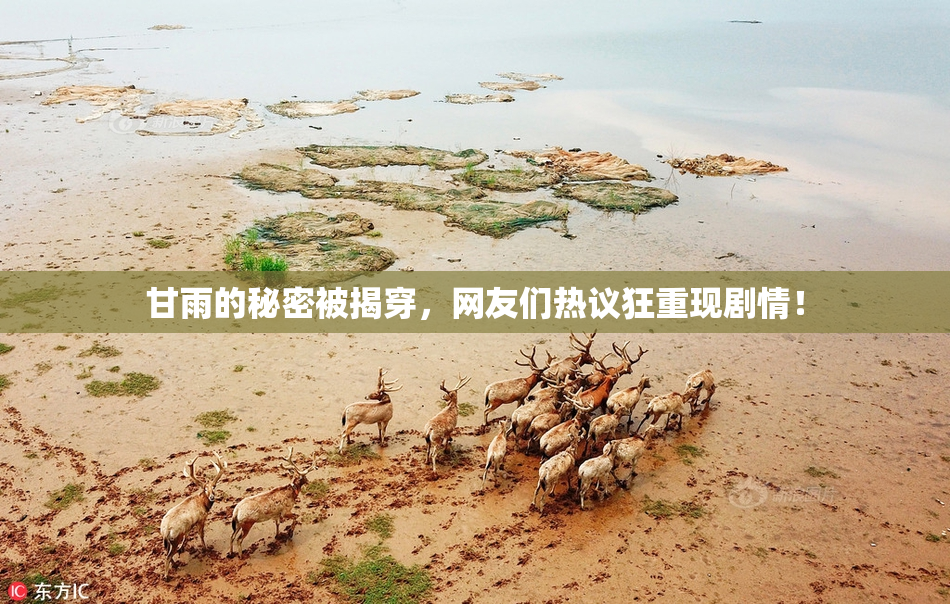 甘雨的秘密被揭穿，网友们热议狂重现剧情！
