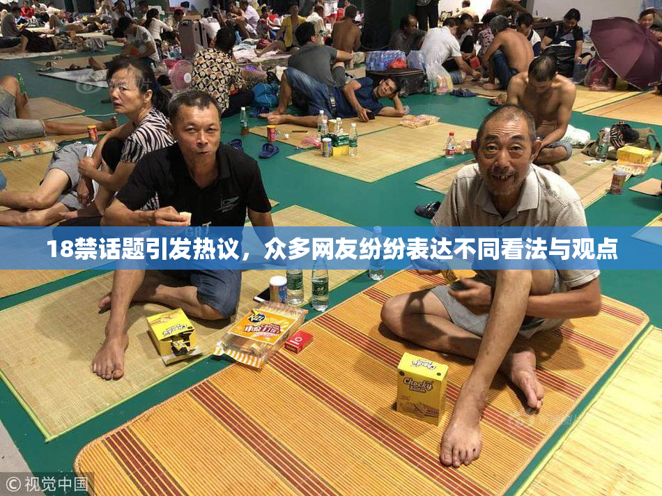 18禁话题引发热议，众多网友纷纷表达不同看法与观点