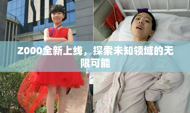 Z000全新上线，探索未知领域的无限可能