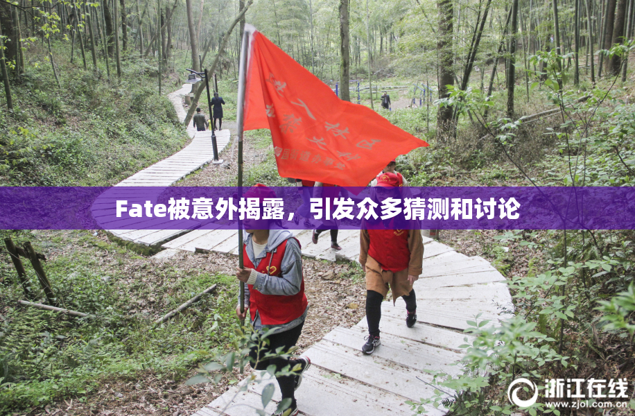 Fate被意外揭露，引发众多猜测和讨论