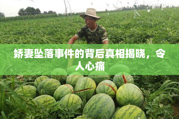 娇妻坠落事件的背后真相揭晓，令人心痛