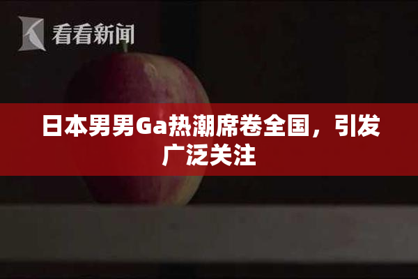 日本男男Ga热潮席卷全国，引发广泛关注