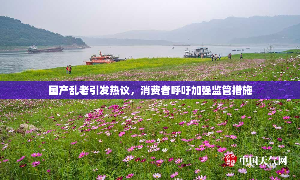 国产乱老引发热议，消费者呼吁加强监管措施