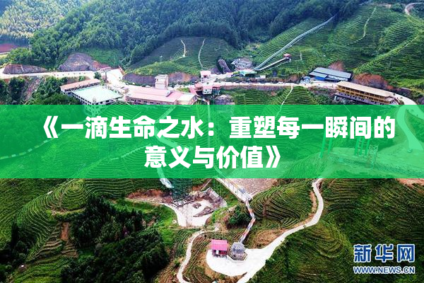 《一滴生命之水：重塑每一瞬间的意义与价值》