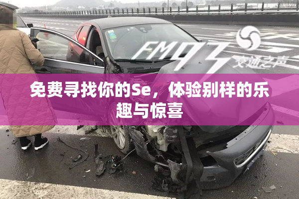免费寻找你的Se，体验别样的乐趣与惊喜