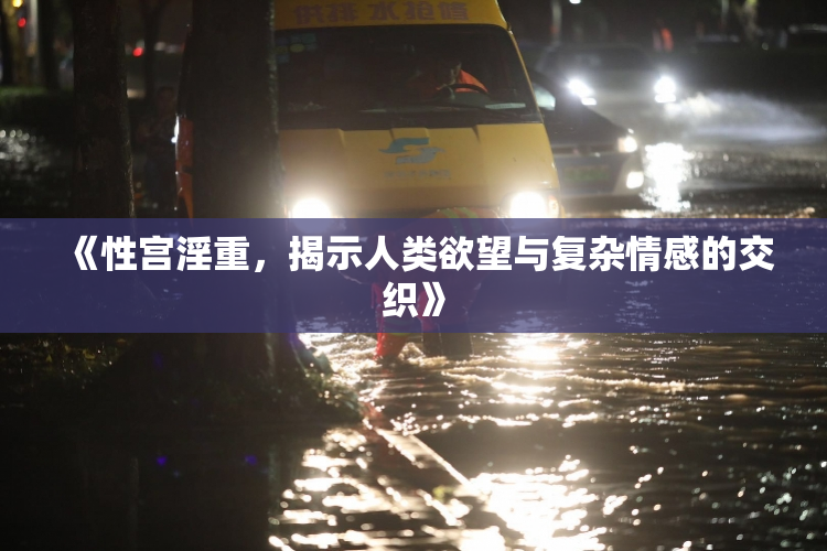 《性宫淫重，揭示人类欲望与复杂情感的交织》