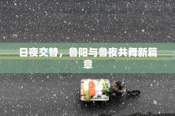 日夜交替，鲁阳与鲁夜共舞新篇章