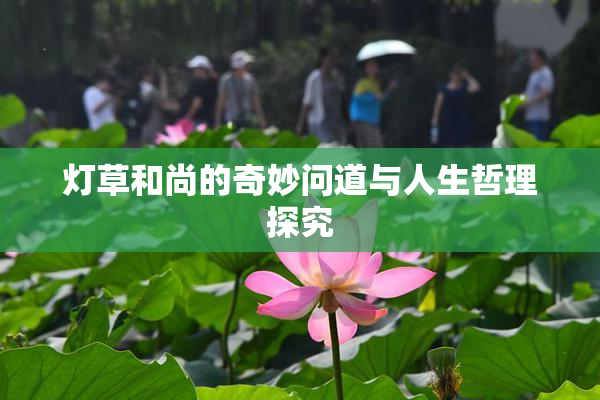 灯草和尚的奇妙问道与人生哲理探究