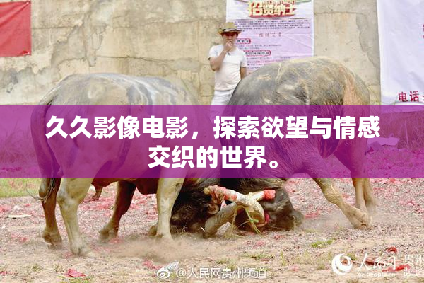 久久影像电影，探索欲望与情感交织的世界。