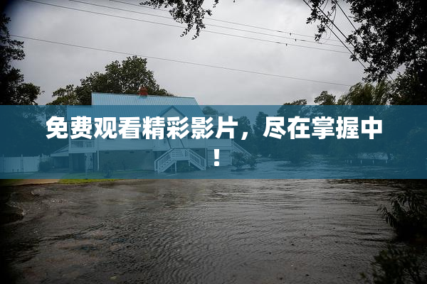 免费观看精彩影片，尽在掌握中！