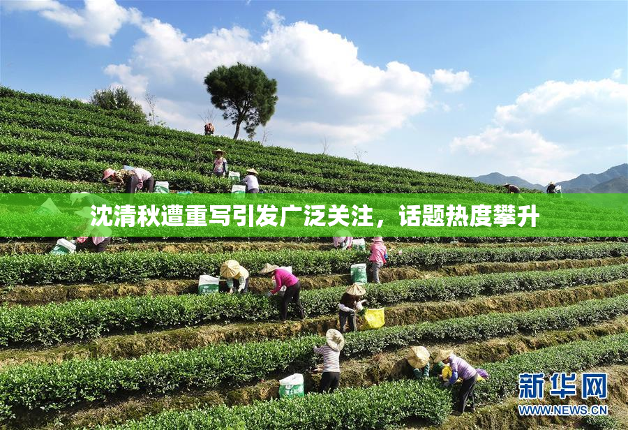 沈清秋遭重写引发广泛关注，话题热度攀升