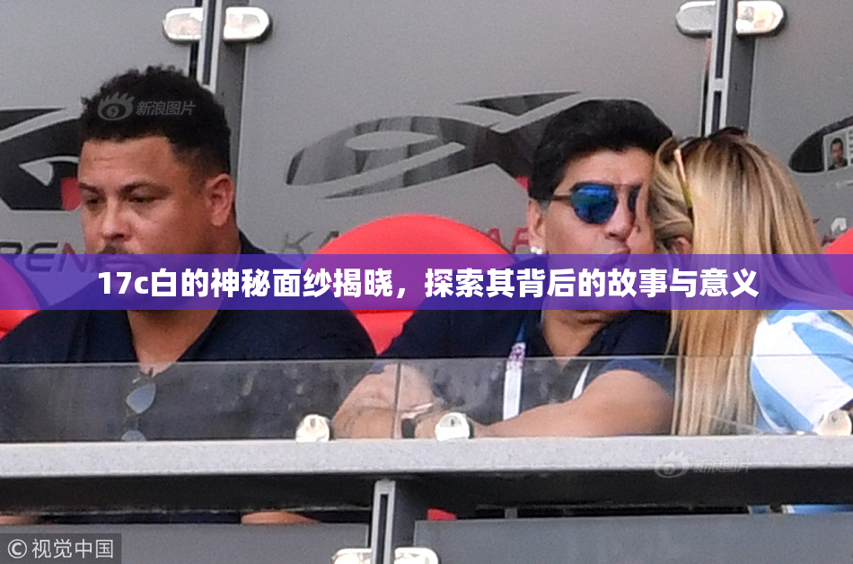17c白的神秘面纱揭晓，探索其背后的故事与意义