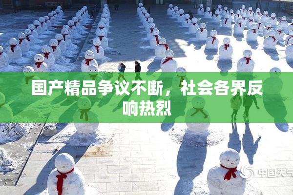 国产精品争议不断，社会各界反响热烈
