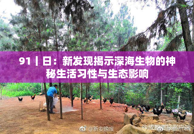 91丨日：新发现揭示深海生物的神秘生活习性与生态影响