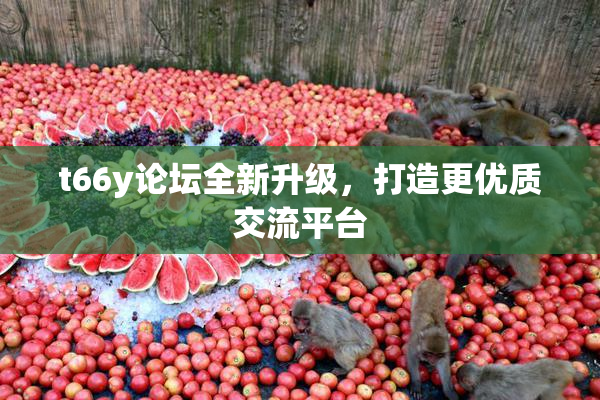 t66y论坛全新升级，打造更优质交流平台