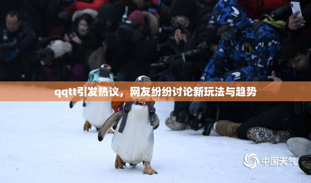 qqtt引发热议，网友纷纷讨论新玩法与趋势