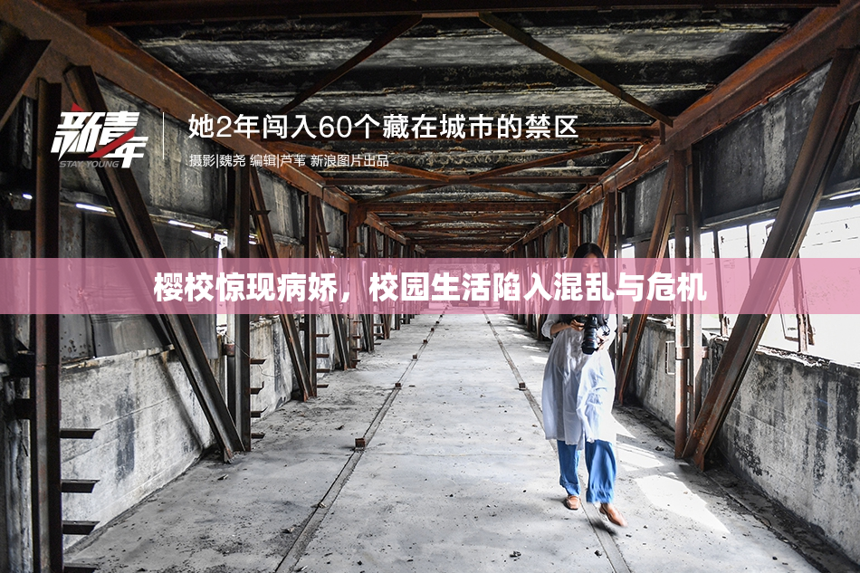樱校惊现病娇，校园生活陷入混乱与危机