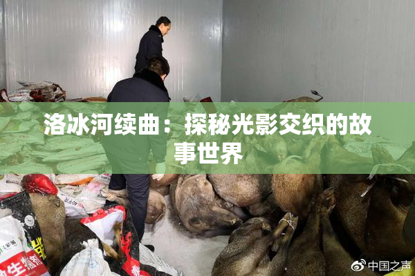 洛冰河续曲：探秘光影交织的故事世界