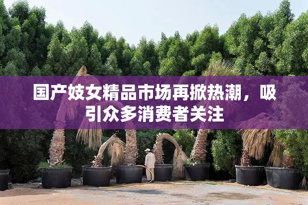 国产妓女精品市场再掀热潮，吸引众多消费者关注