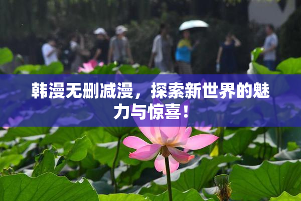 韩漫无删减漫，探索新世界的魅力与惊喜！