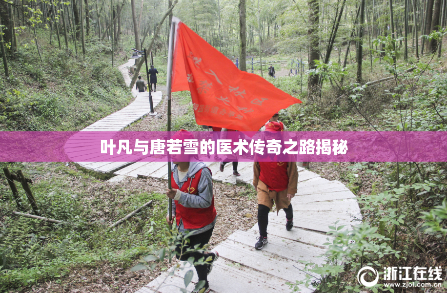 叶凡与唐若雪的医术传奇之路揭秘
