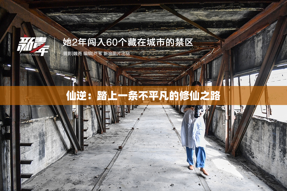 仙逆：踏上一条不平凡的修仙之路
