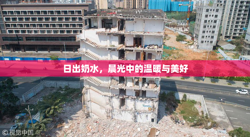 日出奶水，晨光中的温暖与美好