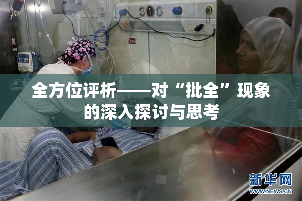 全方位评析——对“批全”现象的深入探讨与思考