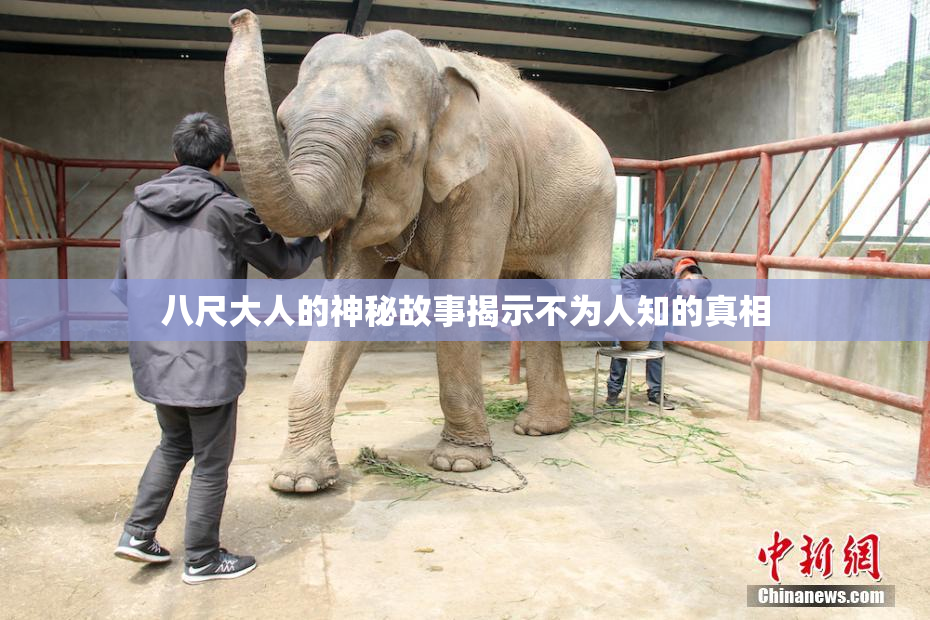 八尺大人的神秘故事揭示不为人知的真相