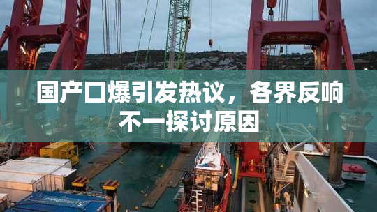 国产囗爆引发热议，各界反响不一探讨原因