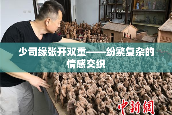 少司缘张开双重——纷繁复杂的情感交织