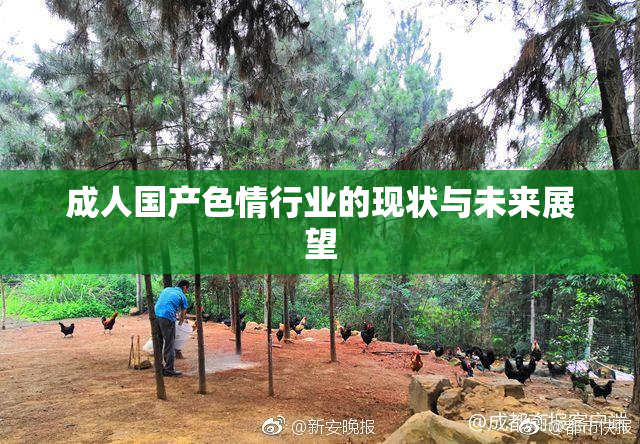成人国产色情行业的现状与未来展望