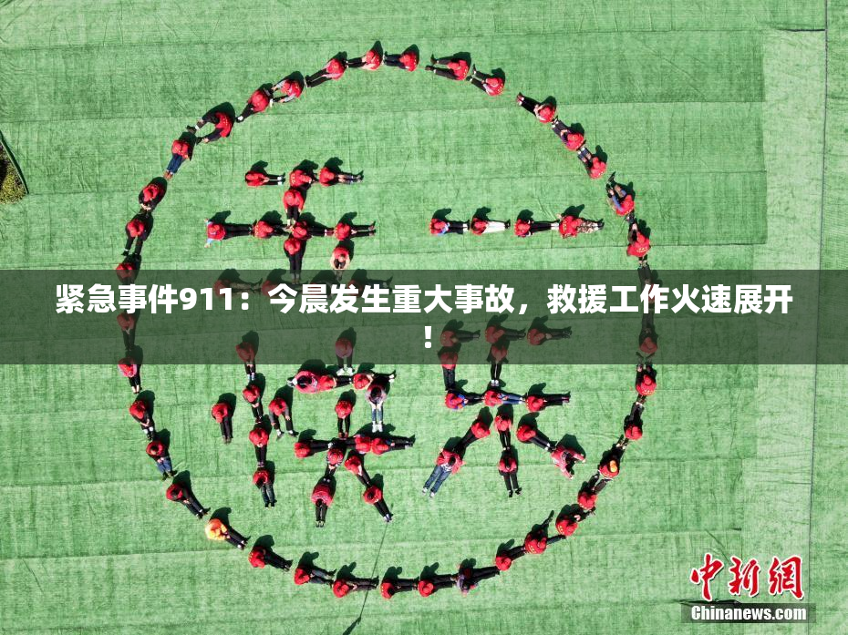 紧急事件911：今晨发生重大事故，救援工作火速展开！