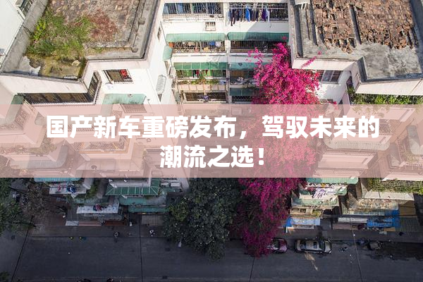 国产新车重磅发布，驾驭未来的潮流之选！