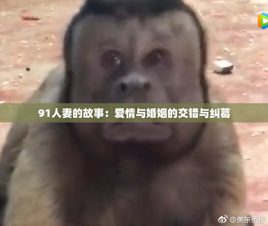 91人妻的故事：爱情与婚姻的交错与纠葛