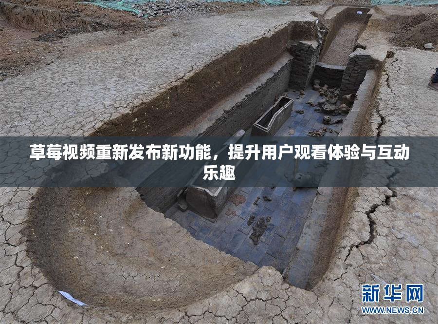 草莓视频重新发布新功能，提升用户观看体验与互动乐趣