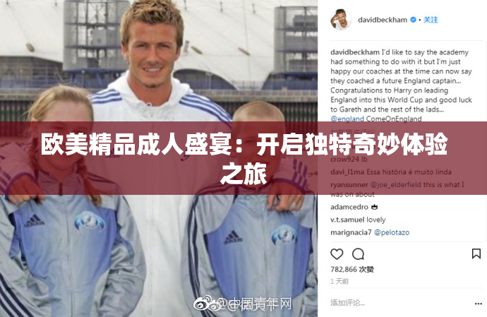 欧美精品成人盛宴：开启独特奇妙体验之旅