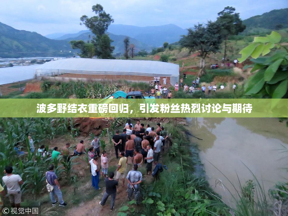 波多野结衣重磅回归，引发粉丝热烈讨论与期待