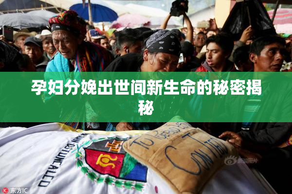 孕妇分娩出世间新生命的秘密揭秘