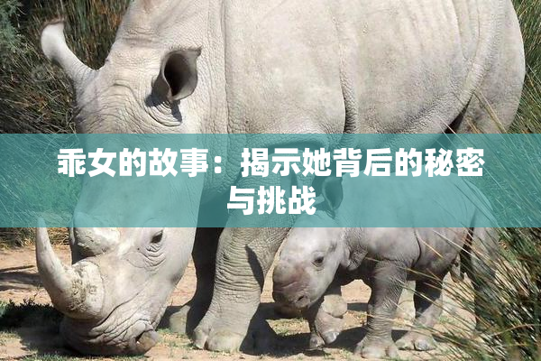 乖女的故事：揭示她背后的秘密与挑战