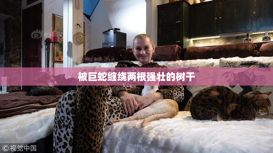 被巨蛇缠绕两根强壮的树干